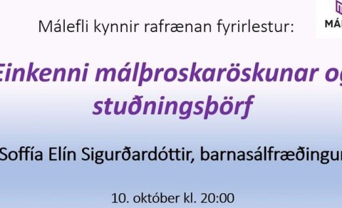 Fyrirlestur, einkenni málþroskaröskunar og stuðningsþörf